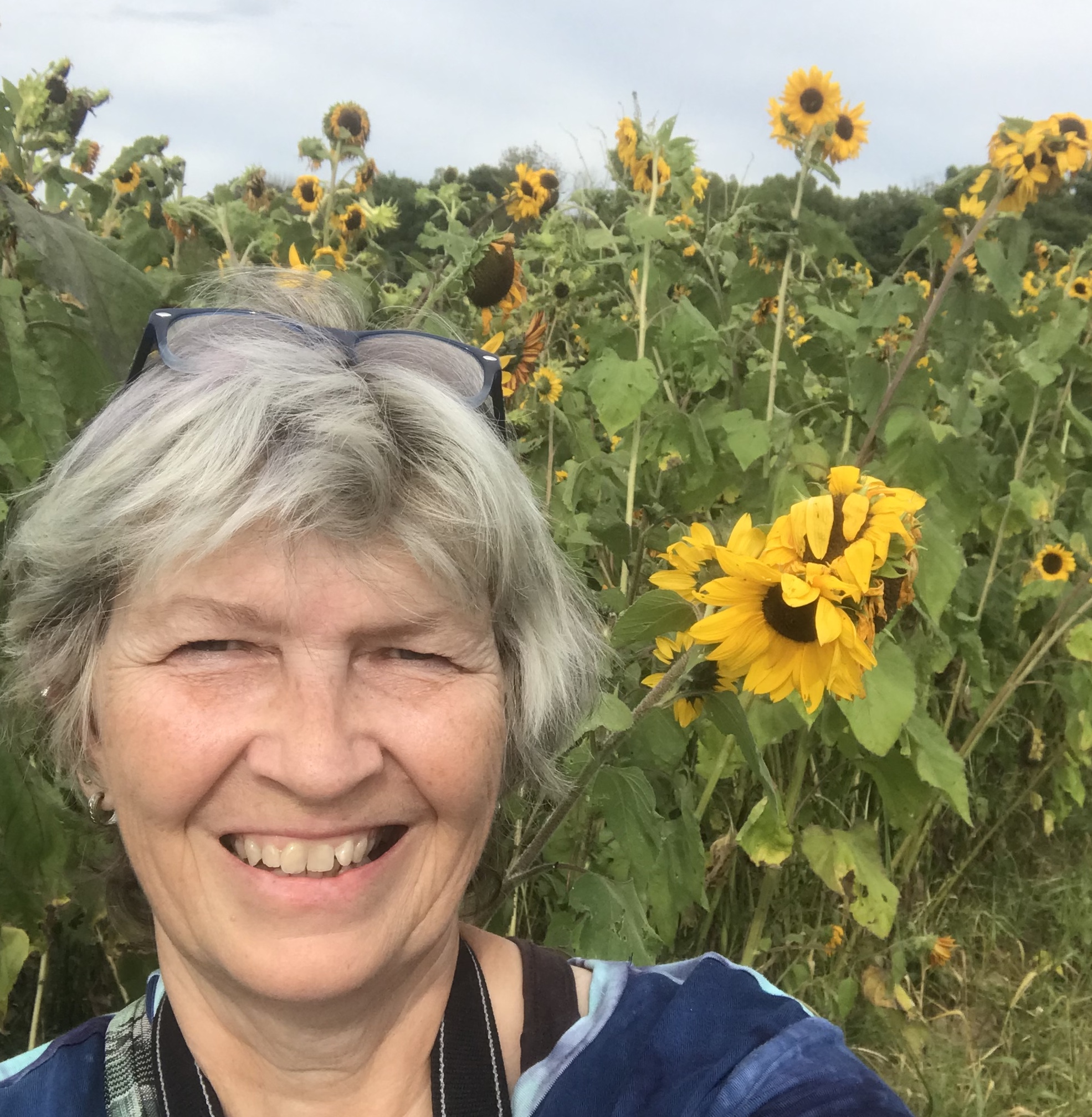 Interview With Lylanne Musselman Sierra Club